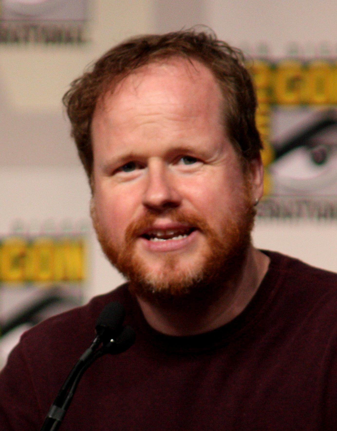 Avengers Joss Whedon quiere que Los Vengadores 2 sea más personal