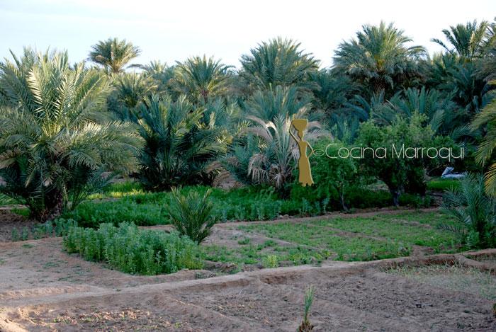 Taboule de brócoli Taboule de brócoli
