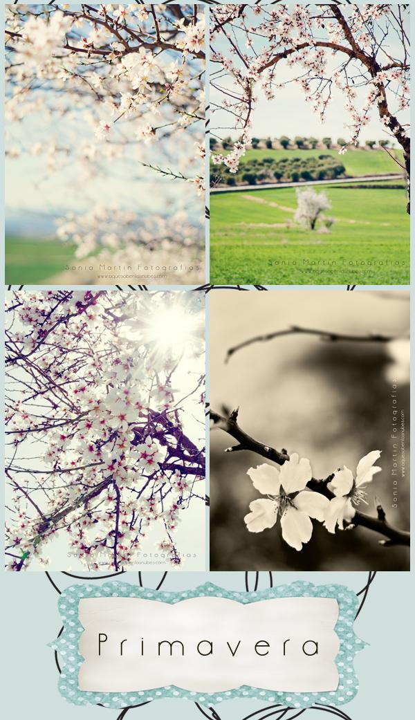 Collage primavera La primavera, la sangre altera