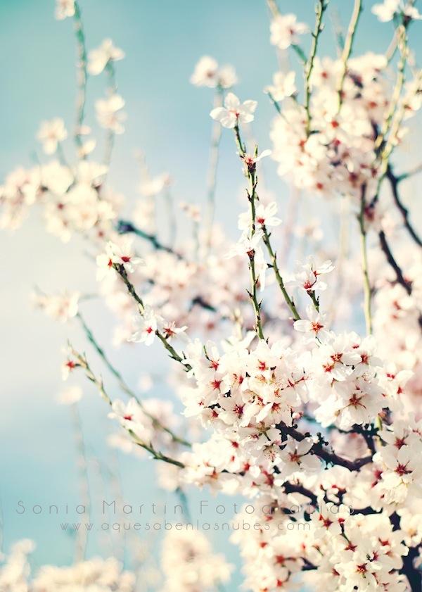 Spring con marca agua La primavera, la sangre altera