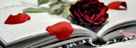 Rosas Día de Sant Jordi en Barcelona 2012