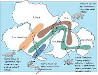 pangea, origen de las especies, supercontinente