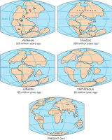 pangea, continental drift, placas tectonicas, supercontinente