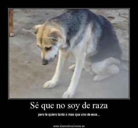 DIOS CIELO ANTIGUO RAZA dios cielo antiguo raza: