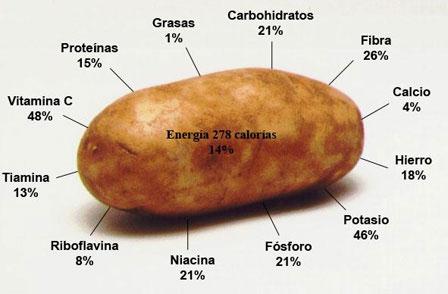 Patatas, Polifenoles, Alzheimer & Parkinson