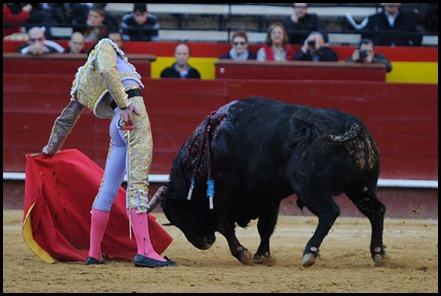 jimenez fortes jimenez fortes