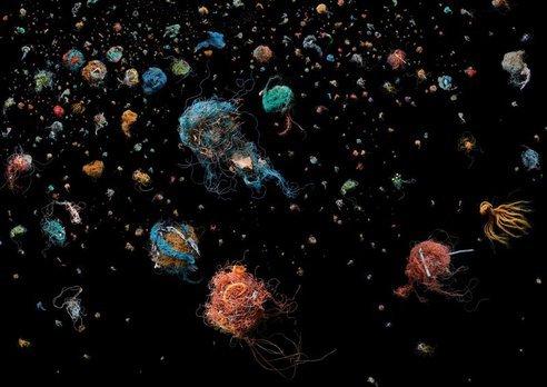 medusas Una de píldoras…