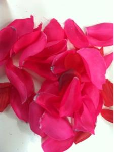 POSTAL PARA EL DIA DEL PADRE: MANUALIDAD CON PETALOS DE FLORES POSTAL PARA EL DIA DEL PADRE: MANUALIDAD CON PETALOS DE FLORES