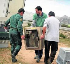 Rescatados unos 20 perros en condiciones de insalubridad Rescatados unos 20 perros en condiciones de insalubridad