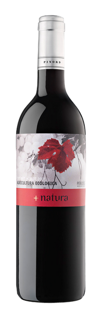 VINOS TINTOS RECOMENDADOS VINOS TINTOS RECOMENDADOS
