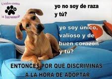 RESPETO ANIMAL RESPETO ANIMAL