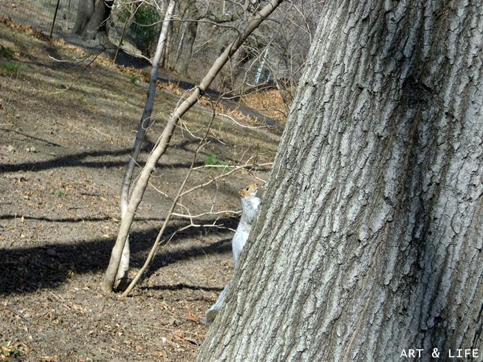 Un domingo en NYC Un domingo en NYC