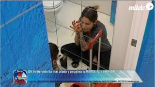 Ariadna se va de boda Ariadna se va de boda