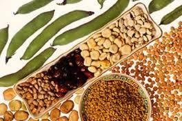a2 a271 Operación Bikini 2012: Alimenta tu masa muscular y activa el metabolismo corporal (apto para vegetarianos)