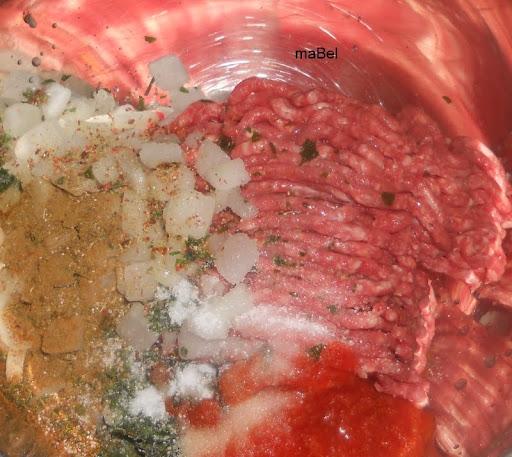 Sfija turca Sfija turca