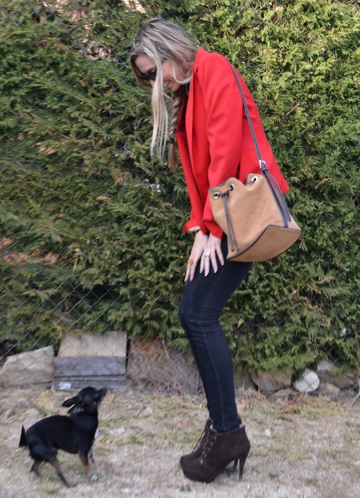 Animal print, black and red Animal print, black and red