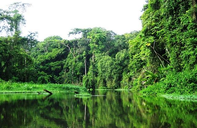 Parque Nacional Tortuguero, joya natural de Costa Rica