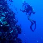 177844575_be77122bdf 177844575_be77122bdf