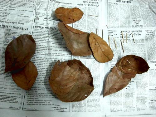 4-plato_hojas_solo_centro Sírvete tú mismo