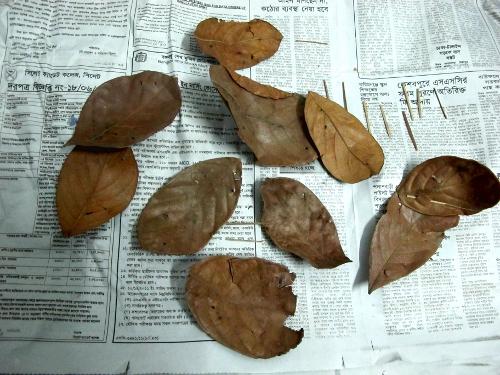 6-plato_hojas_desmontado Sírvete tú mismo