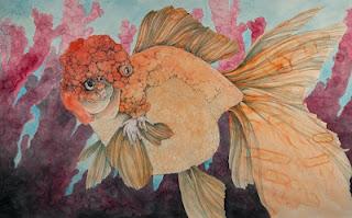 Caitlin Hackett Caitlin Hackett