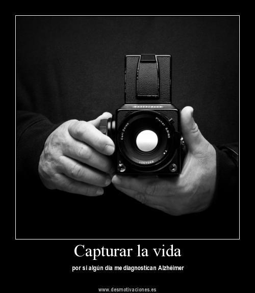 Reflexión visual #243-20-12