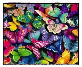 Mariposas multicolores Mariposas multicolores