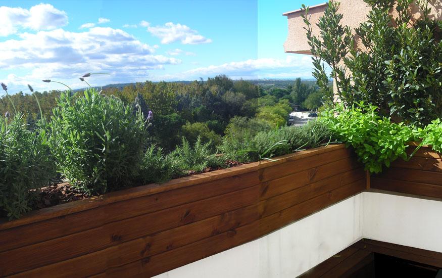 Vista-01-jardin-comest Vista 01 jardin comest1 Jardin comestible en un atico