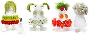 Bloom-my-Buddy Bloom my Buddy