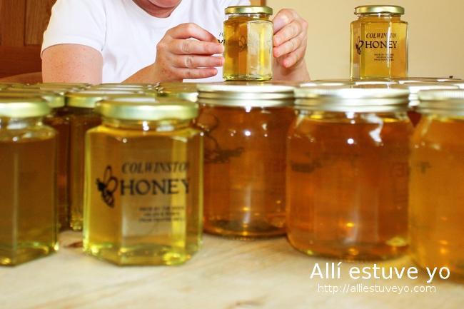 IMG_1384.red Beekeeping (apicultura) en Colwinston