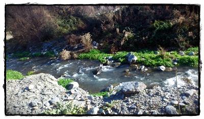 Operación bikini: no solo adelgazar! Operación bikini: no solo adelgazar!