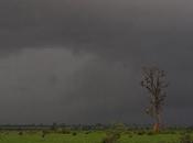 filamento resistencia