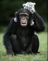 La historia entrañable de Anjana