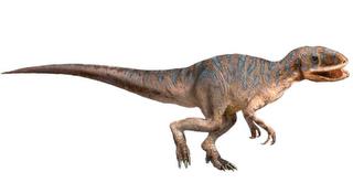 Yangchuanosaurus