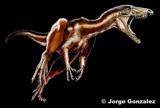 Tawa hallae y vídeo paleofriki