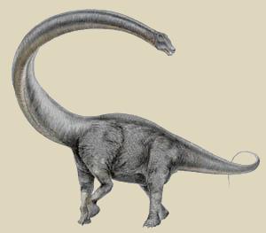 Mamenchisaurus