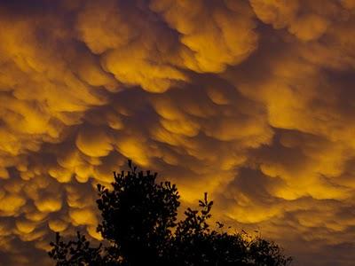 Las nubes mammatus