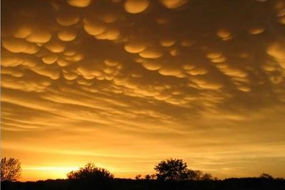 Las nubes mammatus