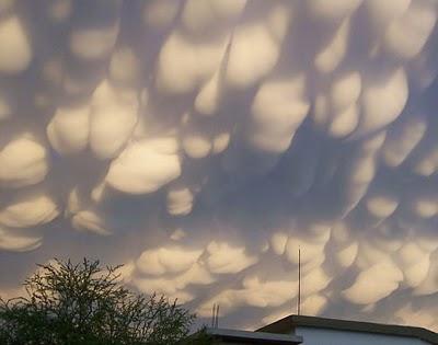 Las nubes mammatus