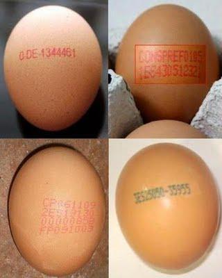 El código numérico de los huevos y el maltrato a las gallinas El código numérico de los huevos y el maltrato a las gallinas