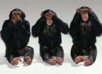 NO TODO LO QUE PASA ES MALO