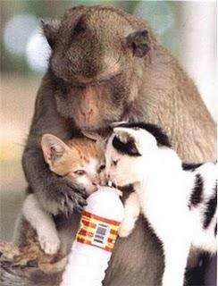 NO TODO LO QUE PASA ES MALO