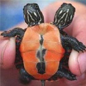 NO TODO LO QUE PASA ES MALO