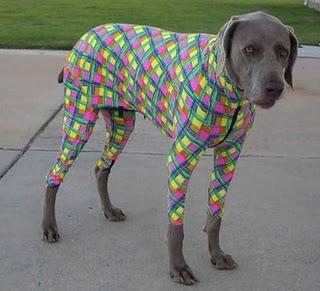 NO TODO LO QUE PASA ES MALO