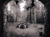 Am", Dream Theater