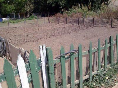 Huertas en la ciudad