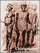 El chaco sudamericano.