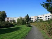 Iñaki Abalos, Bruno Taut, Sigfried Giedion Eterna Discusión...