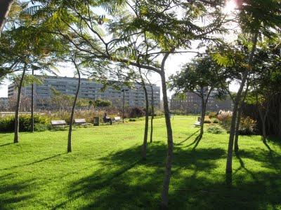 Puerto Madero, Buenos Aires: Entre el Río y la Ciudad