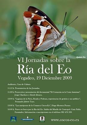 VI Jornadas sobre la Ría del Eo